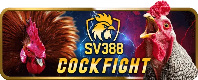 Cá cược trực tiếp các trận đấu thể thao winnerclub